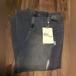NWT!  1822 Denim Women’s Skinny Jeans — Light Blue Distressed